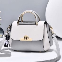 Crossbody Single Shoulder Bag (Option: Gray)